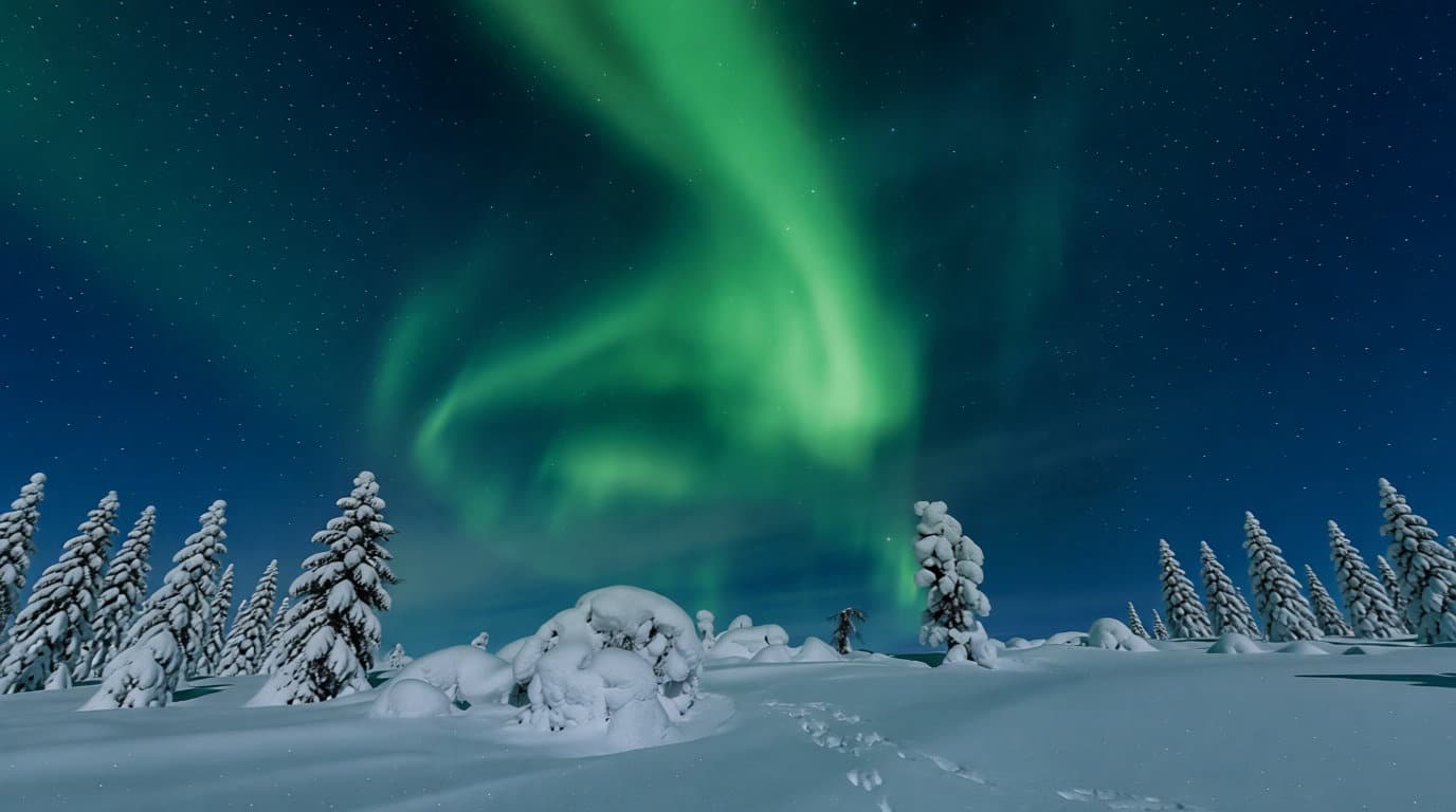 L'adn de Cutrins : quand la rudesse finlandaise sauve nos cheveux 🇫🇮